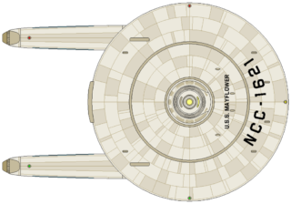 Burke Flt II (dorsal)