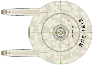 Burke Flt IV (dorsal)