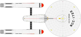 Constitution Flt 3 (dorsal)