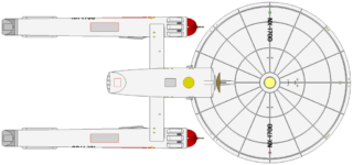 NX Constitution (ventral)