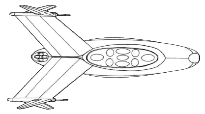 File:A6 (ventral).png