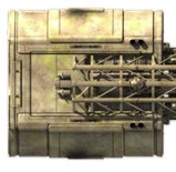 File:Type III (ventral view).jpg