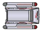 File:Type 8 (dorsal).png