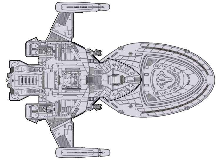 File:Griffin (ventral).png