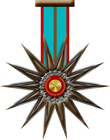 File:Bronze Star medal.png