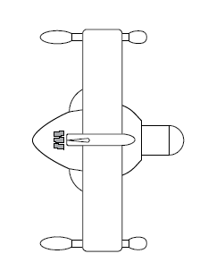 File:Pirithous (dorsal).png