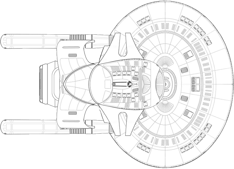 File:Springfield (ventral).png