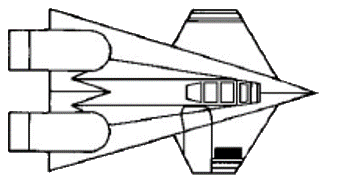 File:Big Cat dorsal view.png