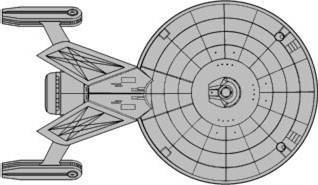 File:Clark scout (dorsal aspect).jpg