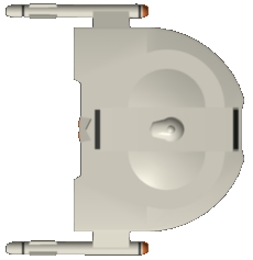 File:Brenton Flt I (dorsal).png