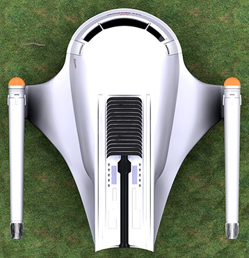 File:G1 (dorsal).jpg