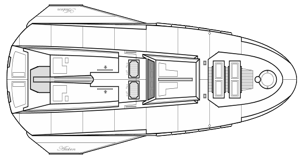 File:Aakenn (dorsal).png