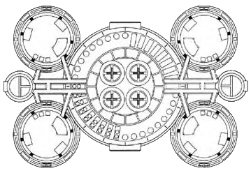 File:Regula-type (ventral).png