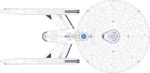 Excel (dorsal).jpg
