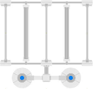 Vektor (dorsal).png