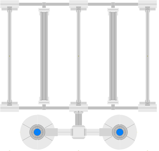 File:Vektor (dorsal).png