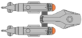 Dorsal perspective
