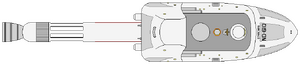 Strachan (dorsal).png