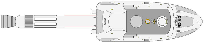 File:Strachan (dorsal).png