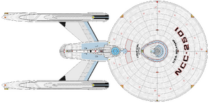 Raan (dorsal).png