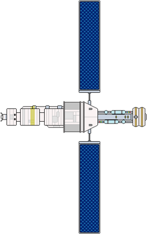 Aphrodite (ventral).png