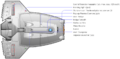 Dorsal