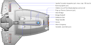 Pointer (dorsal).png
