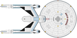 Raan (ventral).png