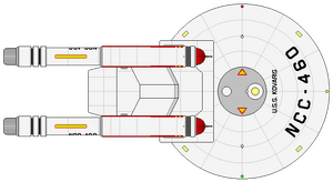Kovaris (dorsal).png