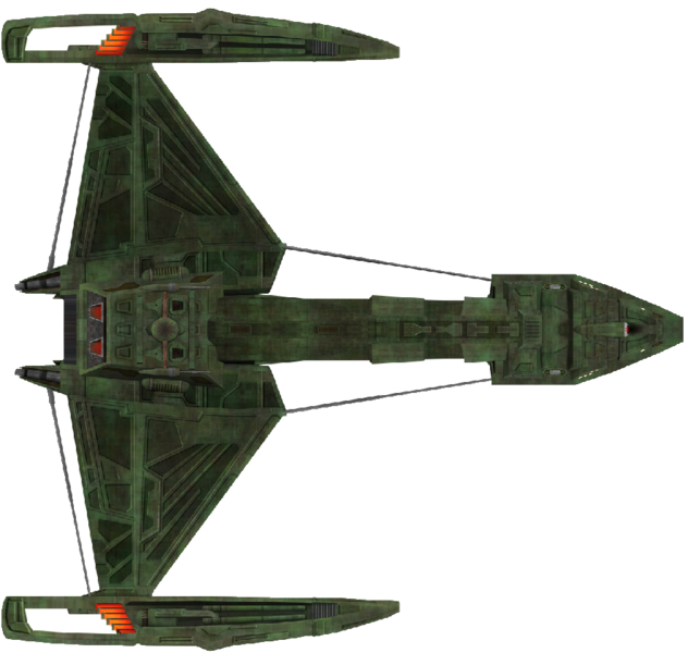 File:D3 (ventral).png