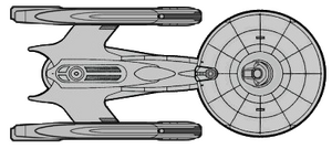 Kolm-An (dorsal).png
