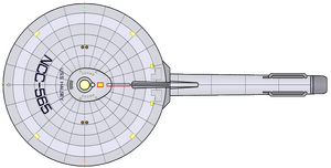 Halsey (2265) (dorsal).png