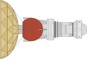 AFP-1 (dorsal).png