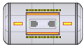 FAM-002 (dorsal)