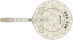 Saladin (dorsal).png