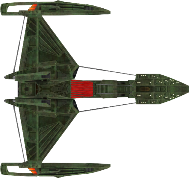 File:D3 (dorsal).png