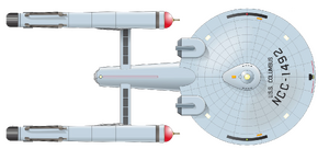 Columbus inpayne (dorsal).png