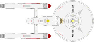 Constitution Flt II (ventral).png
