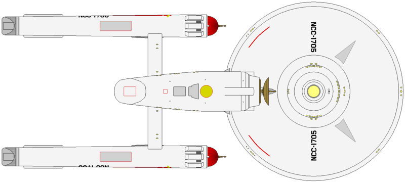 File:Constitution Flt II (ventral).png