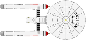 NX Constitution (dorsal).png