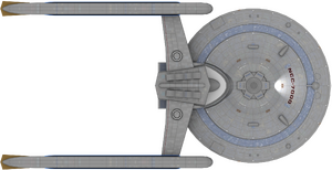 Renaissance (ventral).png