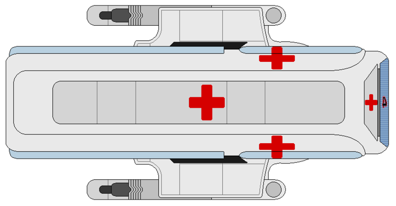 File:Angueira (medical) (ventral).png