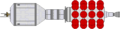 Dorsal