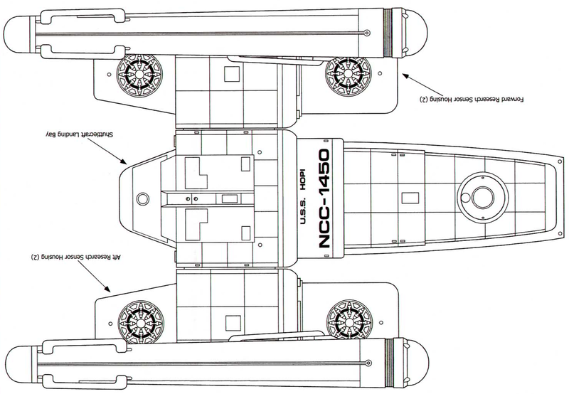 File:Hopi (ventral).png