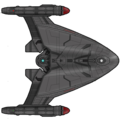 Dorsal aspect