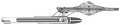 Cygnus