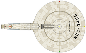 Einstein (dorsal).png