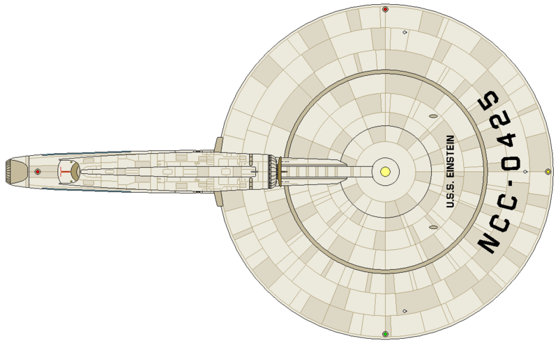 File:Einstein (dorsal).png