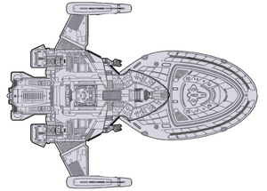 Griffin (ventral).png