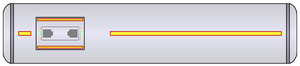 Bulk 2245 (dorsal).png